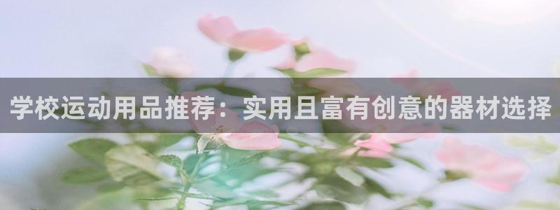 意昂平台体育:学校运动用品推荐:实用且富有创意的器材选择