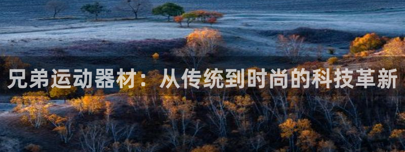 意昂4官方:兄弟运动器材:从传统到时尚的科技革新